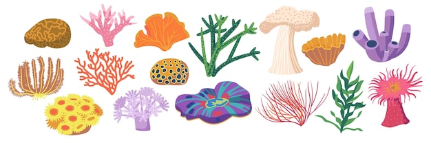 Set Of Coral Reef Or Seaweeds Underwater Plants Aquarium Ocean And Undersea Water Life Vegetation Marine Corals