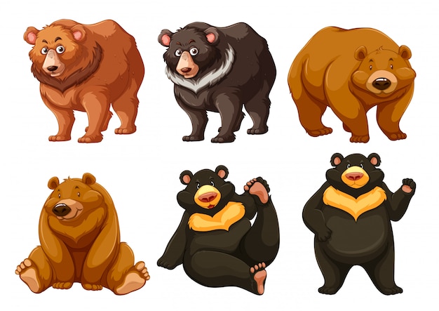 Vector set of cute bears