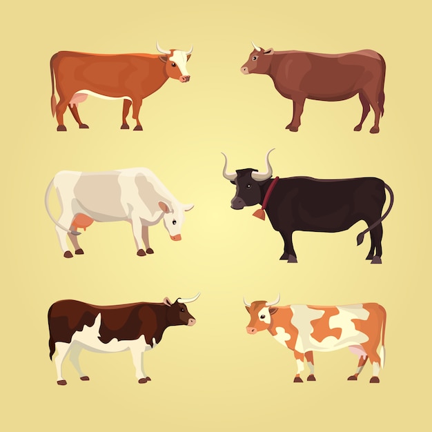 Set of different cows, isolated. Vector illustration.