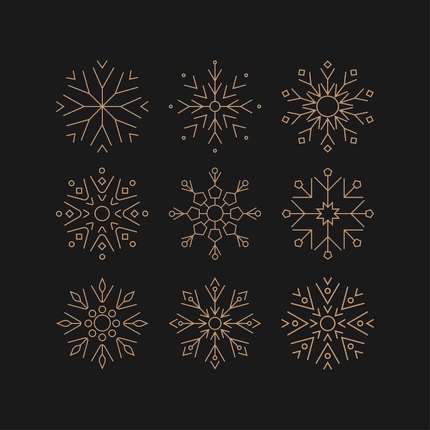 Set of different snowflakes on the background Vector