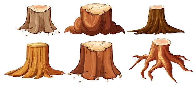 A Set of Different Stump