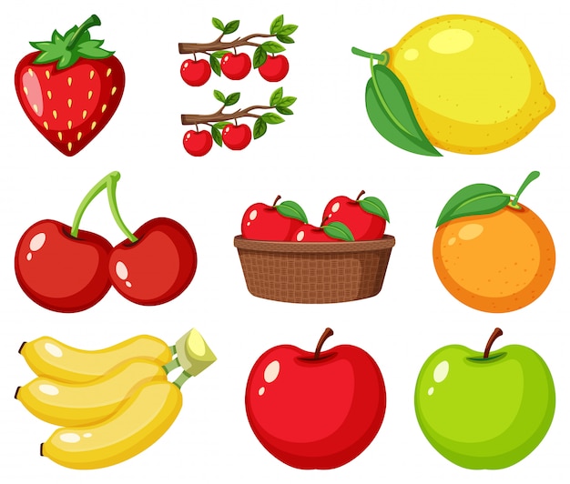 Set of different types of fruits