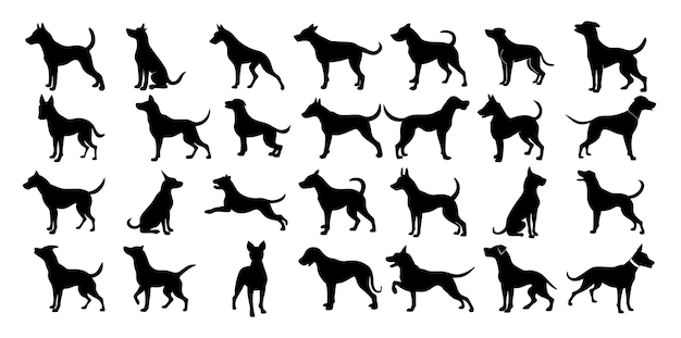 Vector a set of dog silhouettes in different actions