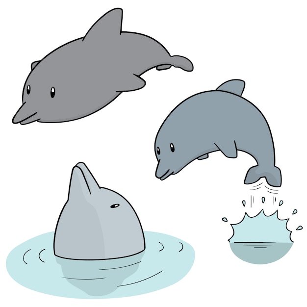 set of dolphin