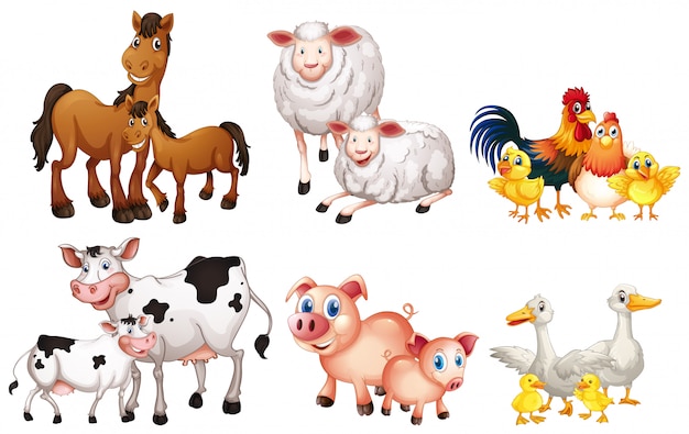 Set of farm animal