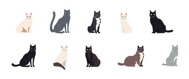 Vector set of flat illustration of cats isolated on white background vector illustration