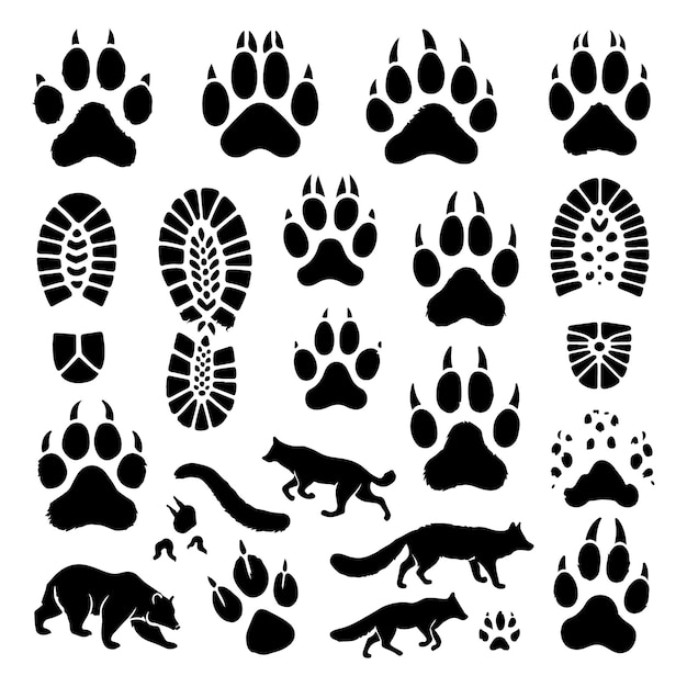 Set of footprints of wild animals illustration of black silhouettes