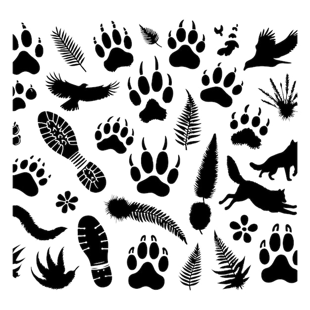 Set of footprints of wild animals illustration of black silhouettes