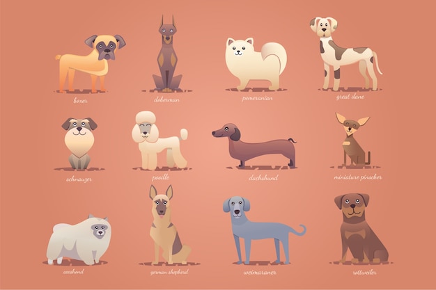 Set of german dogs , cute cartoon illustration  format