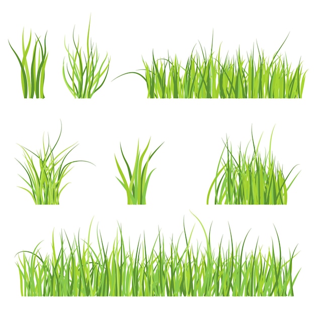 Set of green grass border