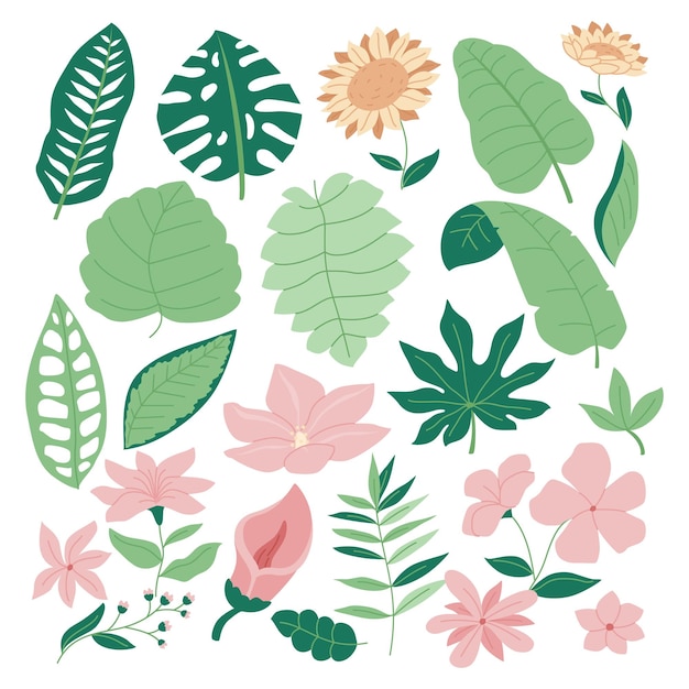 Vector set of green tropical flower, foliage collection with colorful floral botanical bundle element