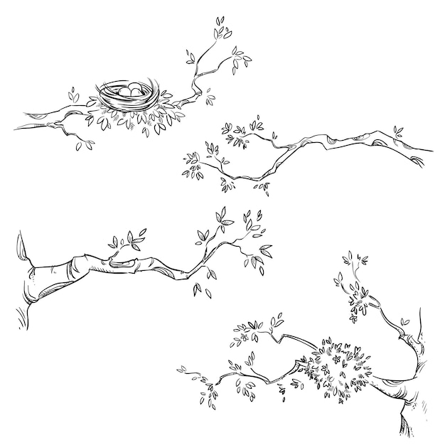 Set of hand drawn branches, vector line illustration