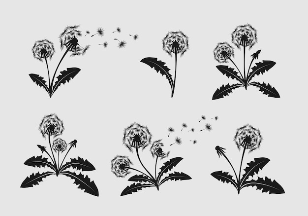 Set of hand drawn dandelion flowers silhouettes