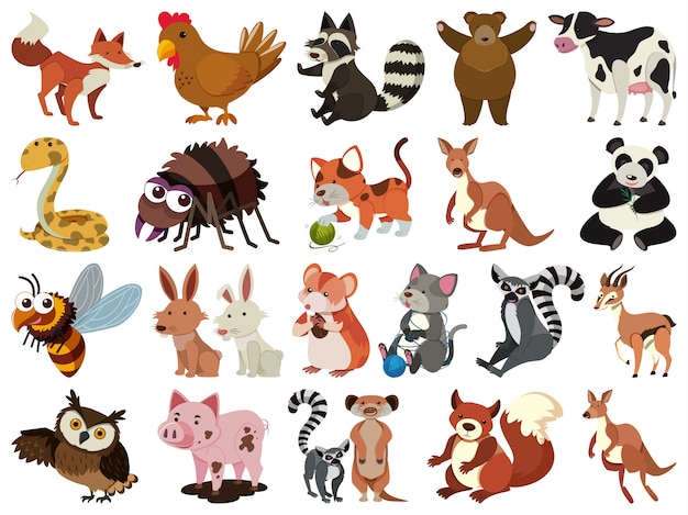 Set of isolated objects theme animals