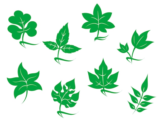 Set of leaves icons