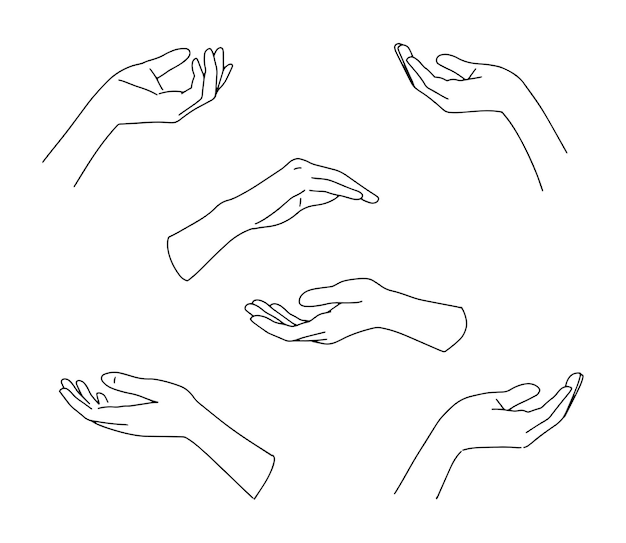 Set of linear hands, elegant woman hands.