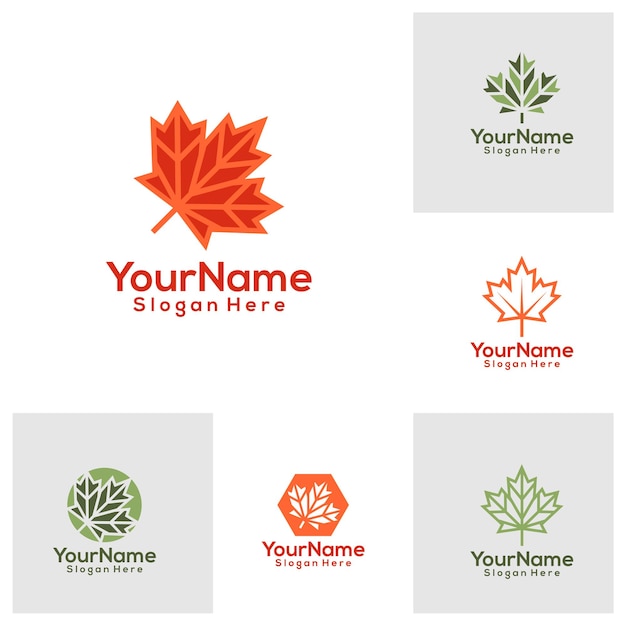 Set of Maple leaf Logo Design Template Maple leaf logo concept vector Creative Icon Symbol