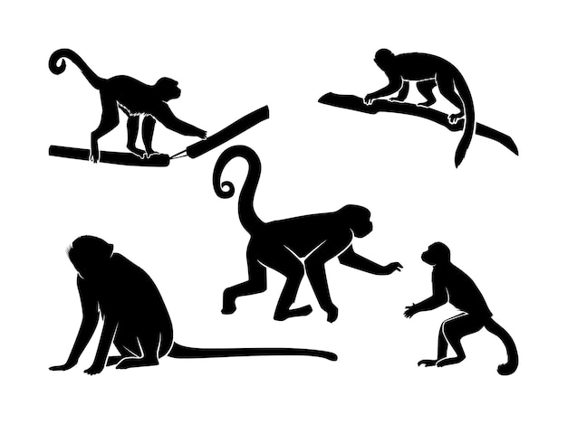 Set of Monkeys Silhouette Isolated on a white background  Vector Illustration