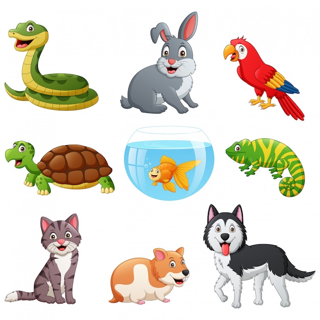 Set of pets cartoon.   illustration