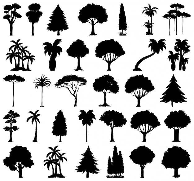 Set of plant and tree silhouette