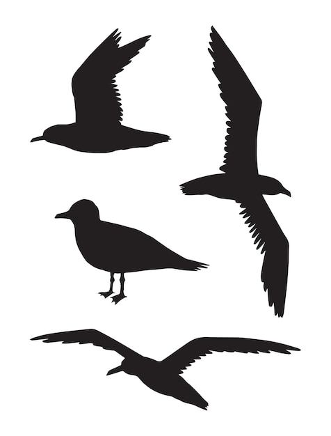 Set of seagull silhouettes