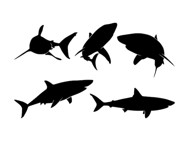 Set of Sharks Silhouette Isolated on a white background  Vector Illustration