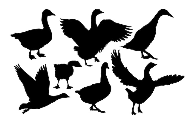 Vector the set silhouettes of geese