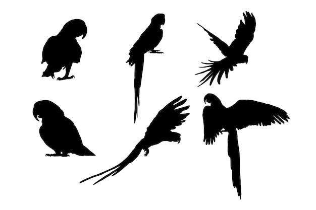 Vector set of silhouettes of macaws vector design