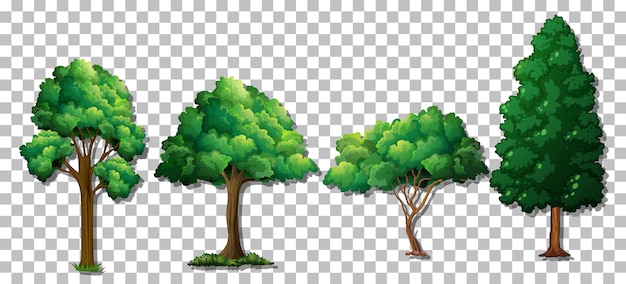 Set of various trees on transparent background