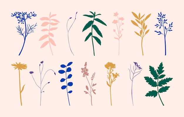 Vector set of wild flowers silhouettes in trendy minimalist style vector herbs illustration