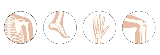 Set with human shoulder, knee, ankle and wrist icons.