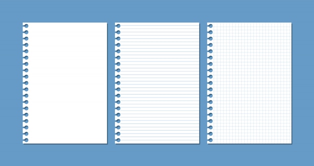 Sheets of paper from a notebook or notepad