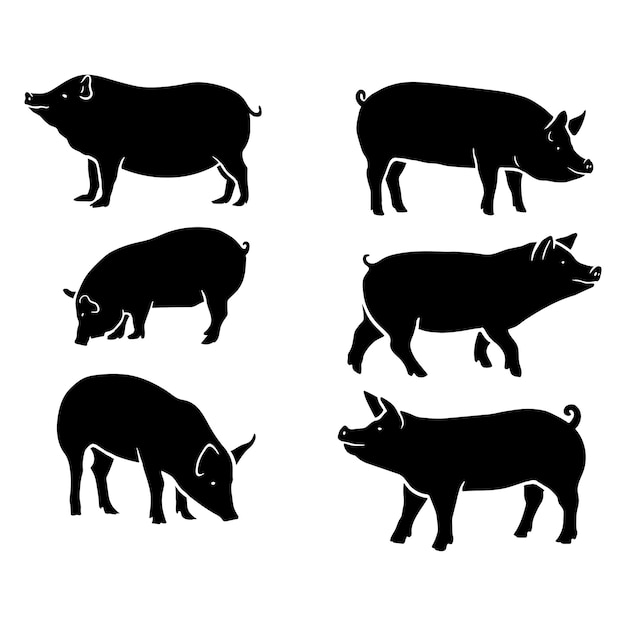 silhouette black pig vector illustration collection