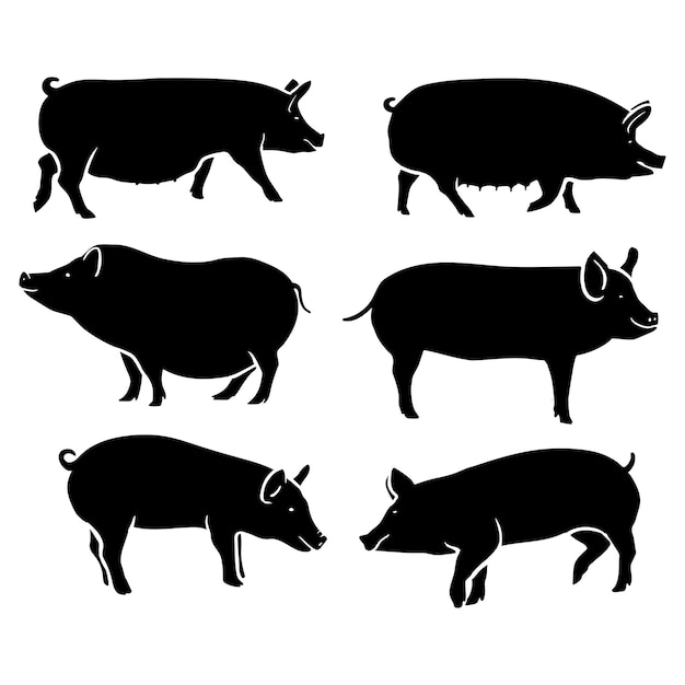 Vector silhouette black pig vector illustration collection