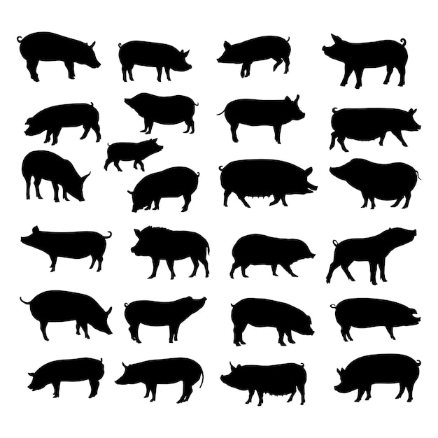 Vector silhouette black pig vector illustration collection