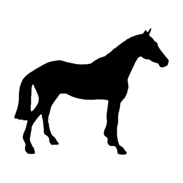 silhouette of horses Isolated black on white background Side view