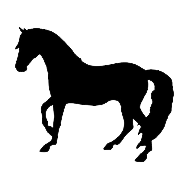 silhouette of horses Isolated black on white background Side view