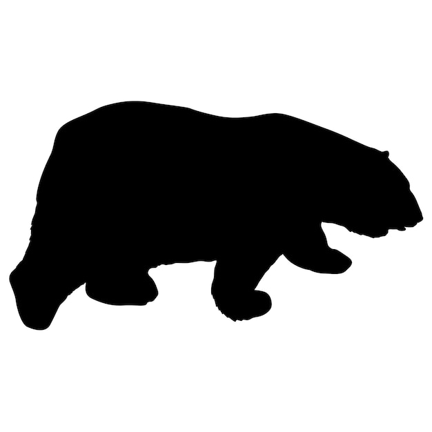 Vector silhouette polar bear on a white background