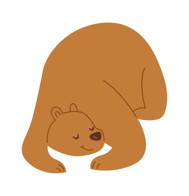 Sleeping wild bear dad