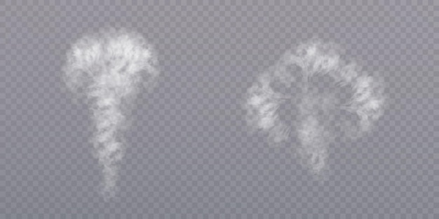 Vector smoke png on transparent background steam effect vector texture of steam fog cloud smoke