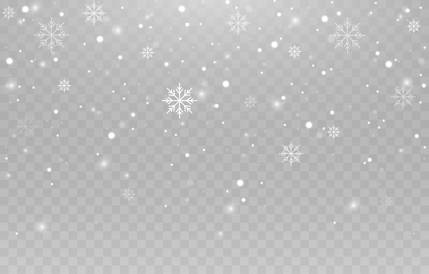 Vector snowflakes on an isolated background