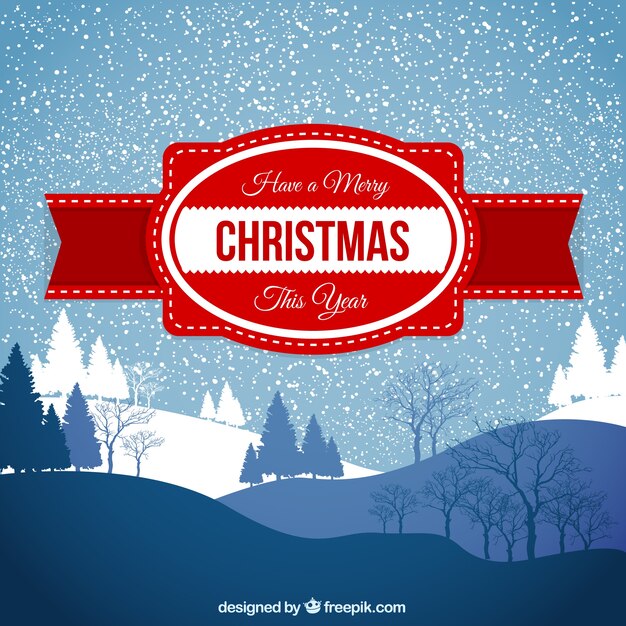 Vector snowy background with christmas label