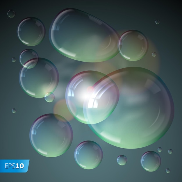 Soap bubbles isolated on grey background vector illustration