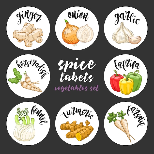 Spices herbs labels. Colored vegetables set