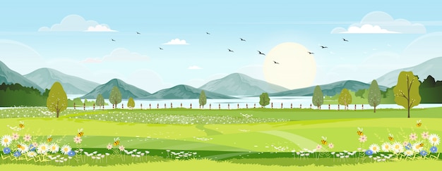 Vector spring landscape with farm field, wild flowers, blue sky with the sun.
