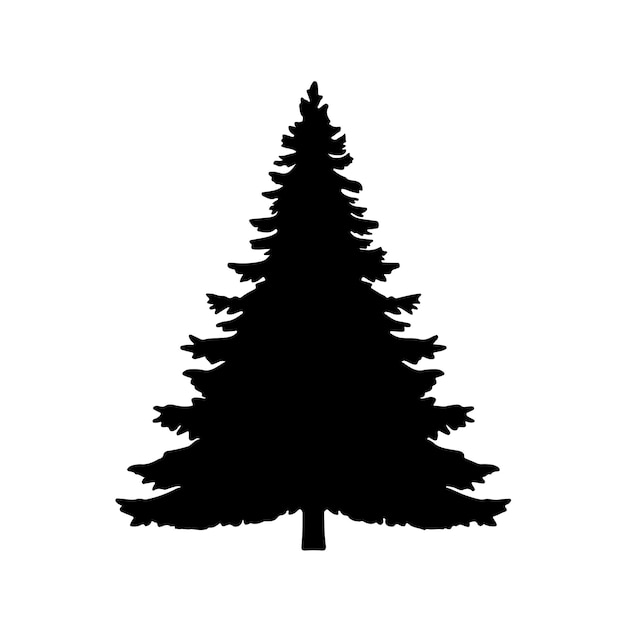 Spruce tree silhouetnte