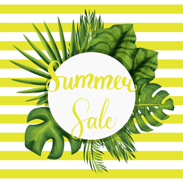 Vector summer seasonal sale vector template