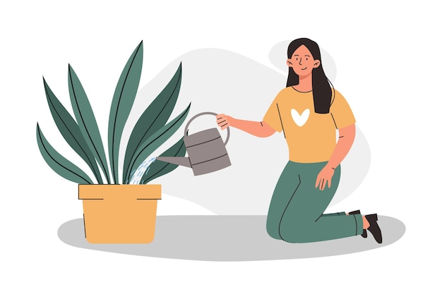 Taking care of houseplant concept