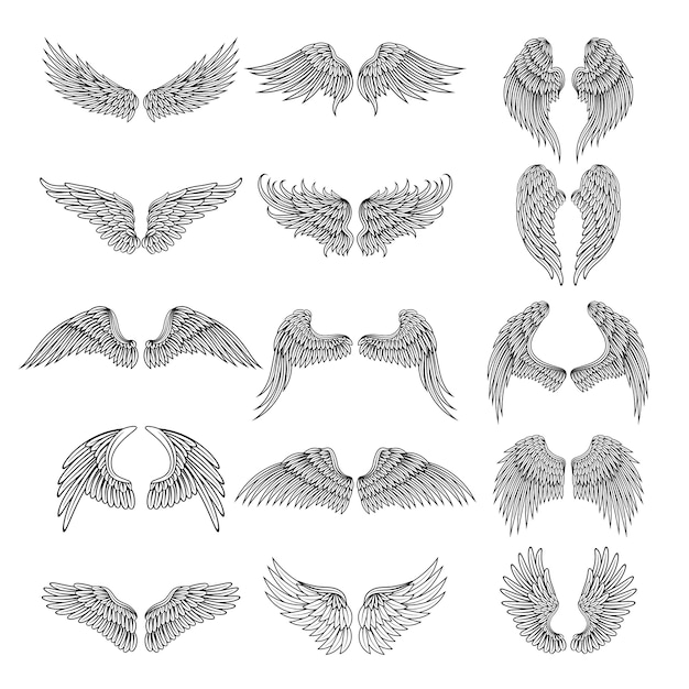 Tattoo  pictures of different stylized wings.  illustrations for logos . Set of wing angel or bird  tattoo