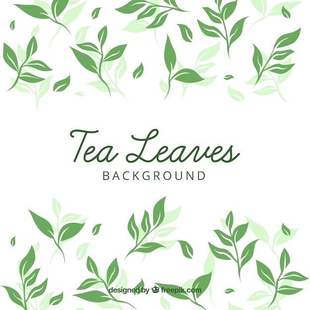 Vector tea leaves background with flat design